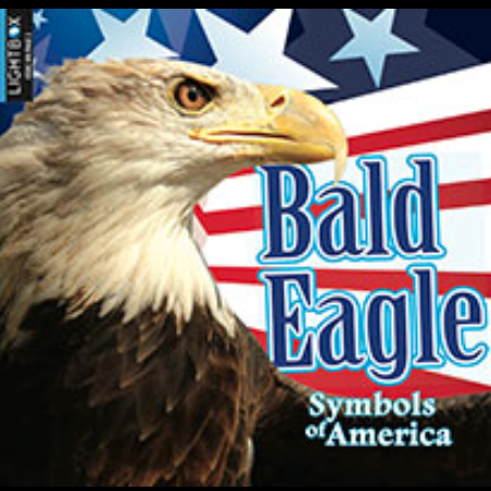 A book cover showing A bald eagle's head against an American flag background.