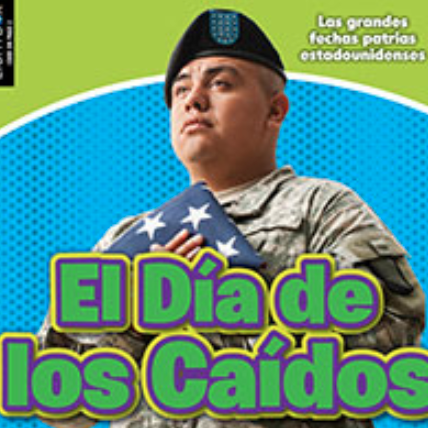 A book cover showing a military service member in uniform and a beret, holding a folded American flag against a blue and green background.