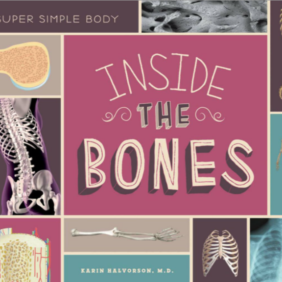 Inside the Bones