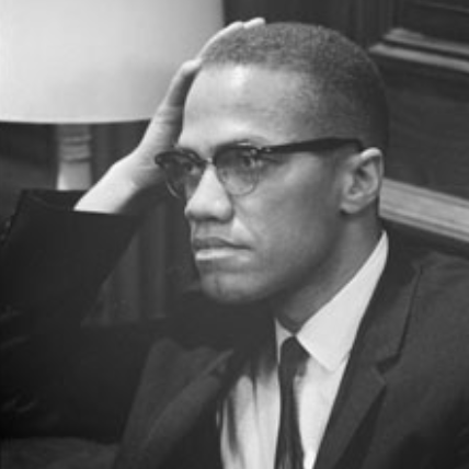Malcolm X - FactCite Biography for Beginners 🔊