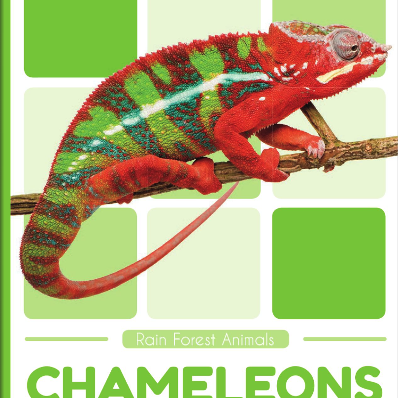 Chameleons