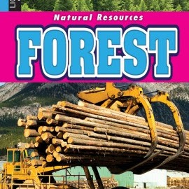 Natural Resources, Forests 🔊