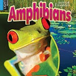 Amphibians 🔊