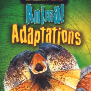 Animal Adaptations