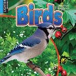 A book cover with a picture of a blue jay