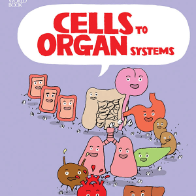 Cells to Organ Systems  🔊