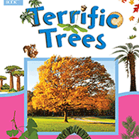 A picture of a large tree with golden leaves