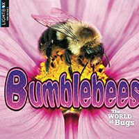 A book cover showing a close up of a bumblebee in the center of a flower