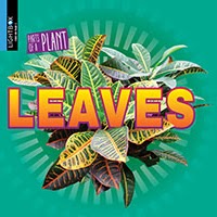 A book cover showing a variety of colorful crocus leaves