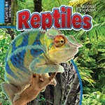 A book cover with a picture of a chameleon