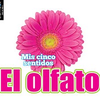 A book cover showing a large pink flower