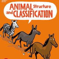 A book cover with a cartoon of a horse, donkey and zebra