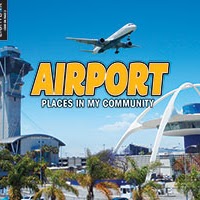 A book cover showing an airplane flying over an airport with palm trees.