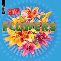 Flowers 🔊