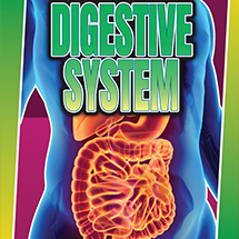 A book cover showing a graphic of the digestive system