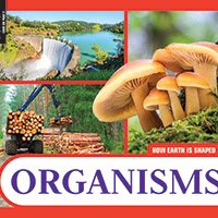 A book cover displays a collage of four images: a dam with flowing water, a cluster of tan mushrooms growing on moss, a truck carrying cut logs, and a scenic view of a green landscape with a blue lake.