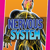 A book cover showing a diagram of the nervous system in a body