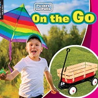 A book cover shows a smiling young boy in a white shirt and backwards baseball cap holding a colorful kite, with a red wagon on green grass in the lower right corner.