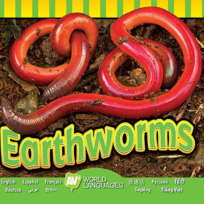 Earthworms 🔊