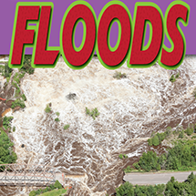 A book cover showing a flood as it rolls quickly downhill