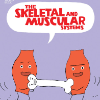 A book cover showing two cartoon muscles carrying a bone. All are smiling