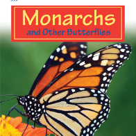 A book cover features a monarch butterfly with distinctive orange and black wings, prominently displayed against a vibrant orange and green background.