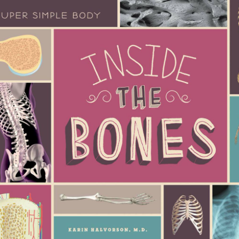 Inside the Bones