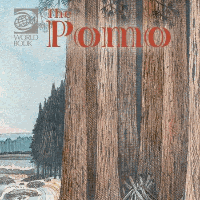 A book cover showing a pencil drawing of a forest