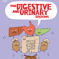 A book cover showing illustrations of the organs of the digestive system