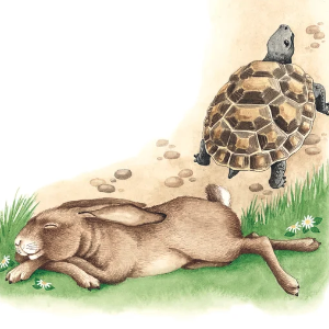 The Hare and the Tortoise 🔊