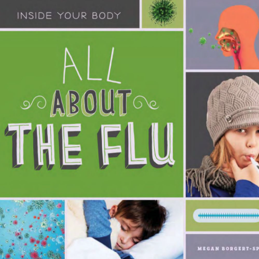 All About the Flu