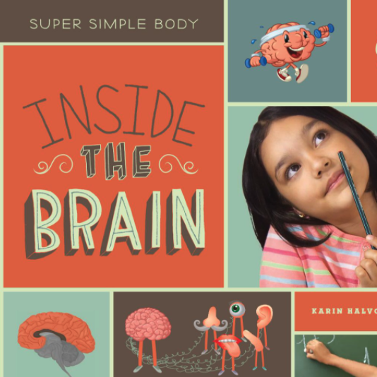Inside the Brain