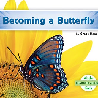 Becoming a Butterfly