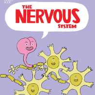 A book cover showing a drawing of a brain and nerves