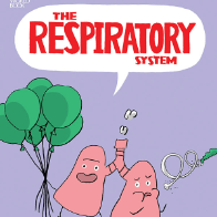 The Respiratory System 🔊