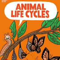 A book cover features a vibrant orange background with illustrations of a caterpillar, chrysalises, and butterflies on a tree branch, depicting various stages of their life cycle.