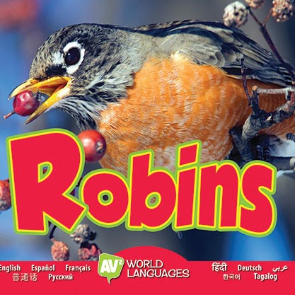 Robins 🔊