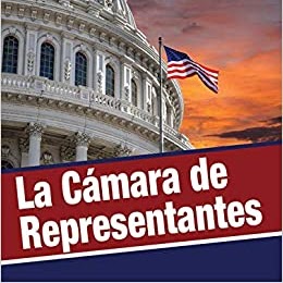 A book cover showing the US Capitol building with an American flag waving nearby