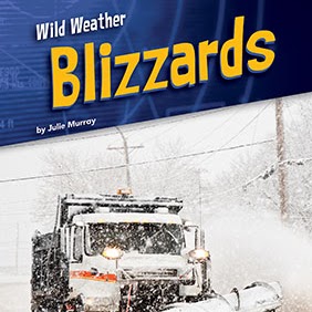A book cover features a snowplow clearing a snow-covered street during a blizzard, with snow blowing around the vehicle, under a dark blue diagonal banner at the top.