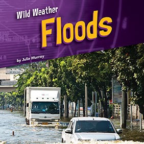 A book cover shows cars and a truck driving through a flooded street lined with trees, under a purple diagonal banner at the top.