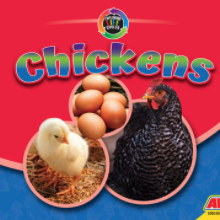 A book cover features a dark-feathered chicken on the right, with two circular insets showing a fluffy yellow chick on straw and a pile of brown eggs, all against a red and blue background.