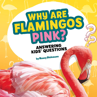 Why are Flamingos Pink? 🔊