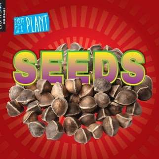 Seeds 🔊