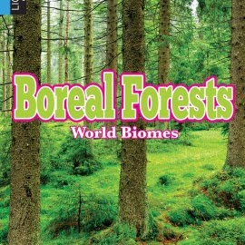 Boreal Forests 🔊