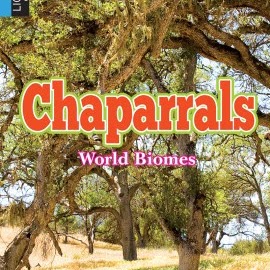 Chaparrals 🔊