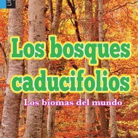 Los Bosques Caducifolios 🔊