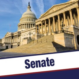 A book cover showing a picture of steps leading to the US Capitol building