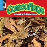 A book cover shows a brown frog perfectly camouflaged among dry fallen leaves, with only its eyes clearly visible, and the word "Camouflage" in green and yellow letters across the top.