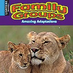 A book cover features a lioness nuzzling a young lion cub, with both looking towards the viewer, against a blurred green background, and the words "Family Groups" in colorful, bubbly letters at the top.