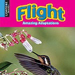 Amazing Adaptations: Flight 🔊